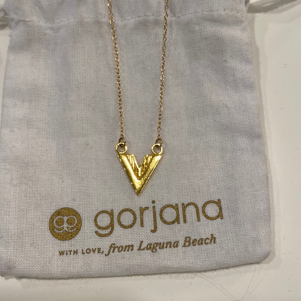 Gorjana 18in pendant
